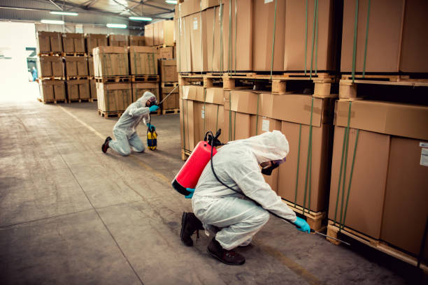 Best Pest Control Near Me  in Arche, OK
