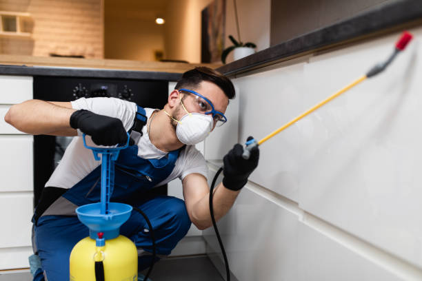 Best Emergency Pest Control  in Arche, OK
