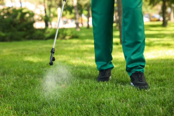 Best Exterminator Services  in Arche, OK