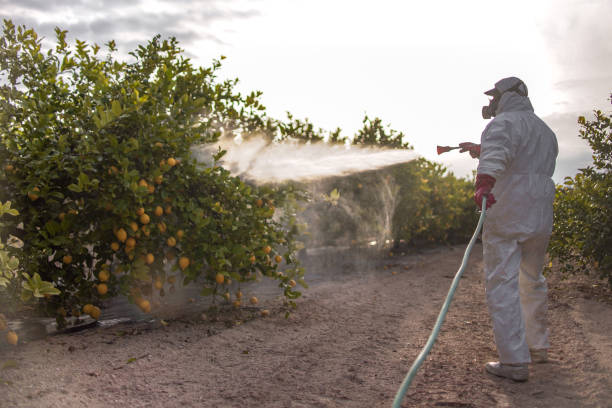 Wildlife Control Services in Okarche, OK