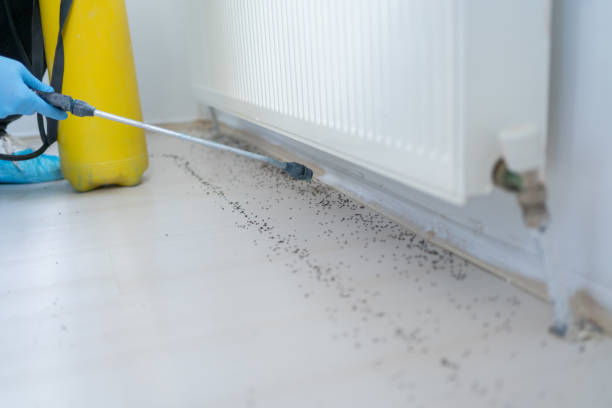  Arche, OK Pest Control Pros